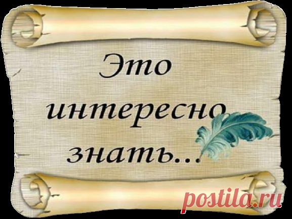 ...Познавательные факты в картинках...