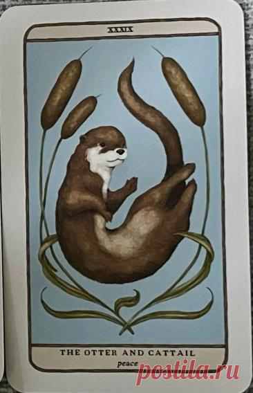 21. Внешний мир: Выдра и Рогоз. Таро Хранителей леса Примечание Элеонора Ример Во внешнем мире ваша среда готова подарить вам легкость и плавность. Выдра напоминает, что жизнь может быть игривой, радостной и подде