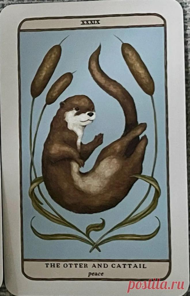 21. Внешний мир: Выдра и Рогоз. Таро Хранителей леса Примечание Элеонора Ример Во внешнем мире ваша среда готова подарить вам легкость и плавность. Выдра напоминает, что жизнь может быть игривой, радостной и подде