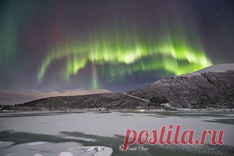 Фотографии пользователя Frank