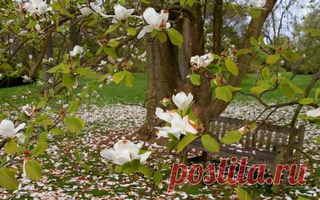 Желаю вам всем , дорогие мои, здоровья, любви, мира и счастья в ваших сердцах и в ваших душах! С любовью к вам и признательностью,ваша Александра!!!!!❤😘