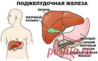 >> Очищение поджелудочной - очищение поджелудочной железы народными средствами