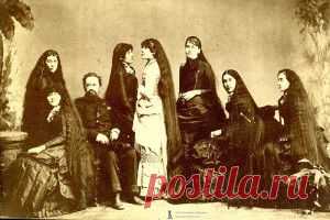 Лента переписки с «Белка Затейница (Шелл)»