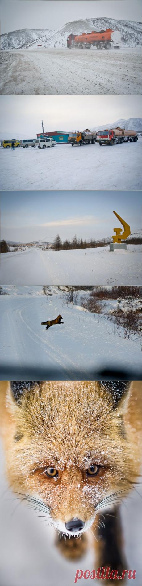 Колымская трасса. Суровая и беспощадная
