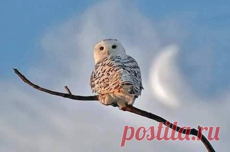 Фразы,Высказывания,Стихи,Цитаты,Видео...
Елена Станова