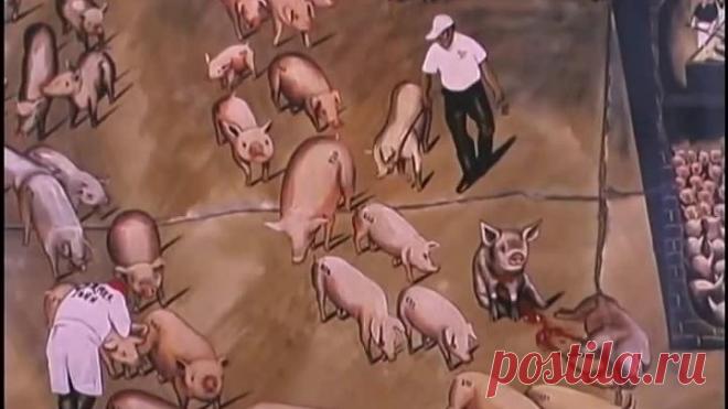 Земляне - Запрещенный фильм к показу во многих странах (шокирующий фильм о животных)