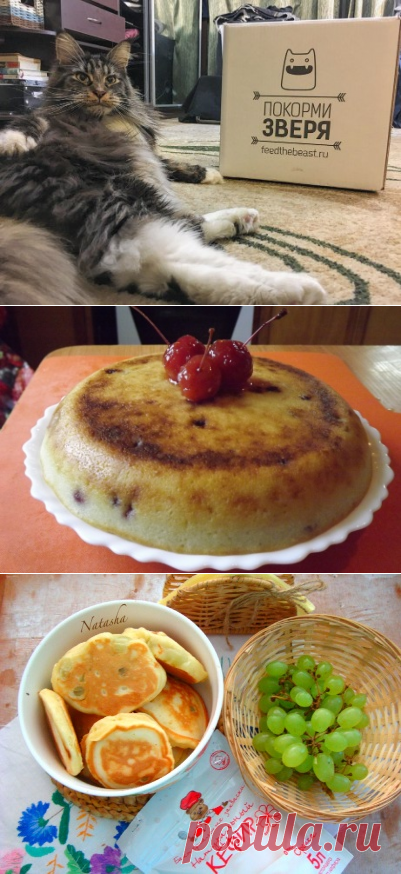 Самые популярные рецепты