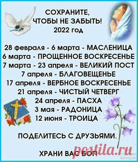«11 непрочитанных чатов» — карточка пользователя rosa maslennikova в Яндекс.Избранном