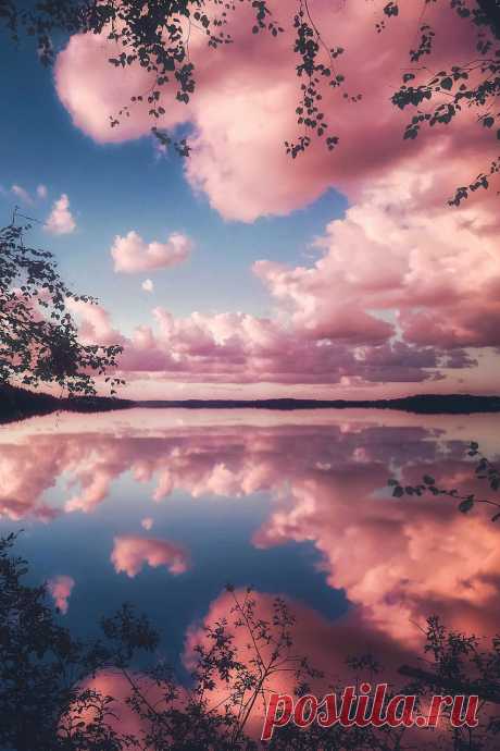 BLISS — tomj37: Cotton Candy Clouds