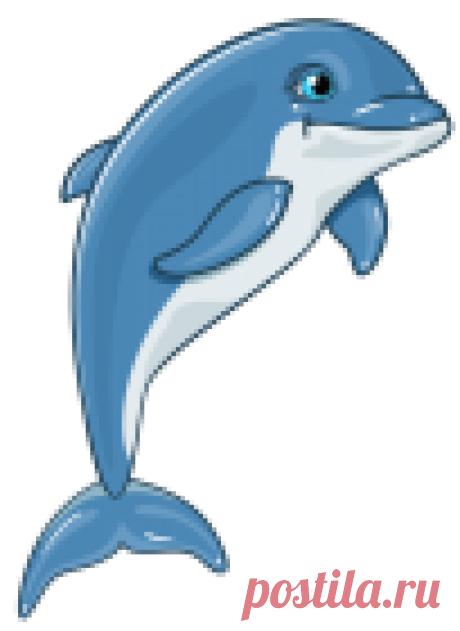 Dolphin PNG Clipart - Best WEB Clipart Dolphin PNG Clipart in category Underwater PNG / Clipart - Transparent PNG pictures and vector rasterized Clip art images.