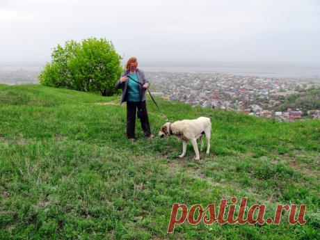 Прогулка с собакой. А внизу Саратов....