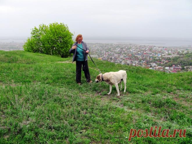 Прогулка с собакой. А внизу Саратов....