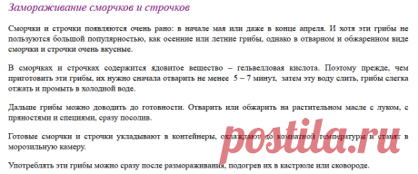 Как заморозить грибы на зиму. Замораживаем грибы по всем правилам