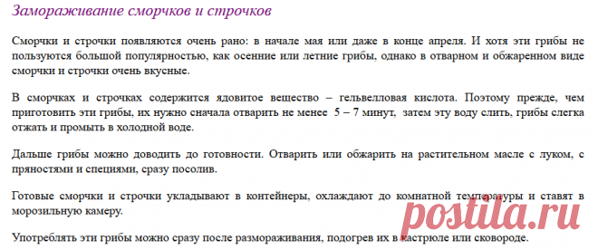 Как заморозить грибы на зиму. Замораживаем грибы по всем правилам