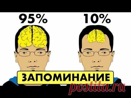 Как развить память и внимание у взрослого человека: лайфхаки