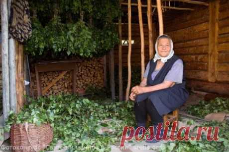 • Плохо спишь, боль в голове - съешь капусты дольки две.
• Нос не дышит или бронхи - взяв чесночный стебель тонкий, раскури тот, вдоль проткнув или в трубку все заткнув.
• Чем старее мужичок, тем важней ему лучок!
• Насморк, кашель, голова - лук с медком прими сперва.
• Для профилактики простуд с чесноком имей сосуд.
• "Перхоть" в горле и ангина не выносят жмыха, тмина.
• Перестуженные ноги прогревай в песке, с порога.
• Артроз и судороги ног боятся валеных сапог (насыпь в те валенки гороху, ход