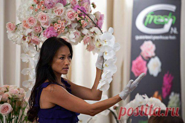 Karen Tran Карен Тран | 46 фотографий