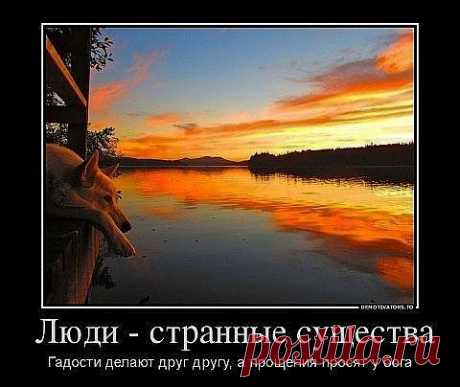 Мой Мир@Mail.Ru