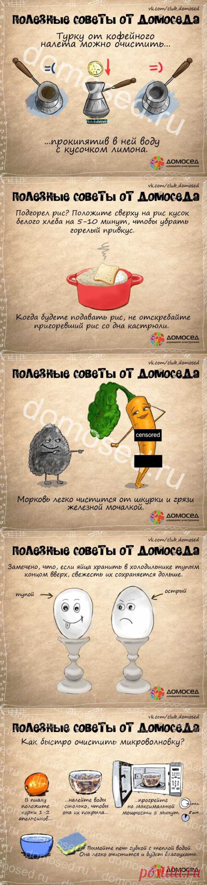 Полезные кулинарные премудрости и советы, которые хотя бы раз в жизни пригодятся каждому | Ваши любимые рецепты