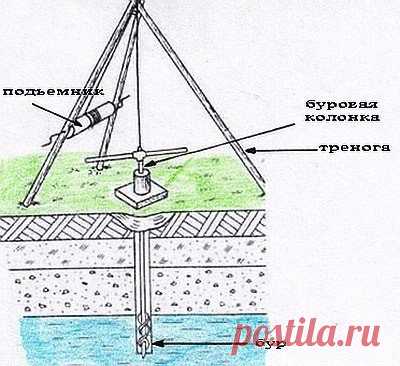 Я выживаю везде.