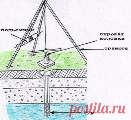 Я выживаю везде.