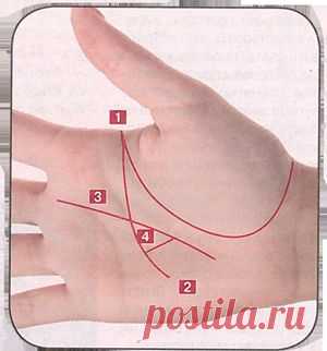 Антикризисная хиромантия