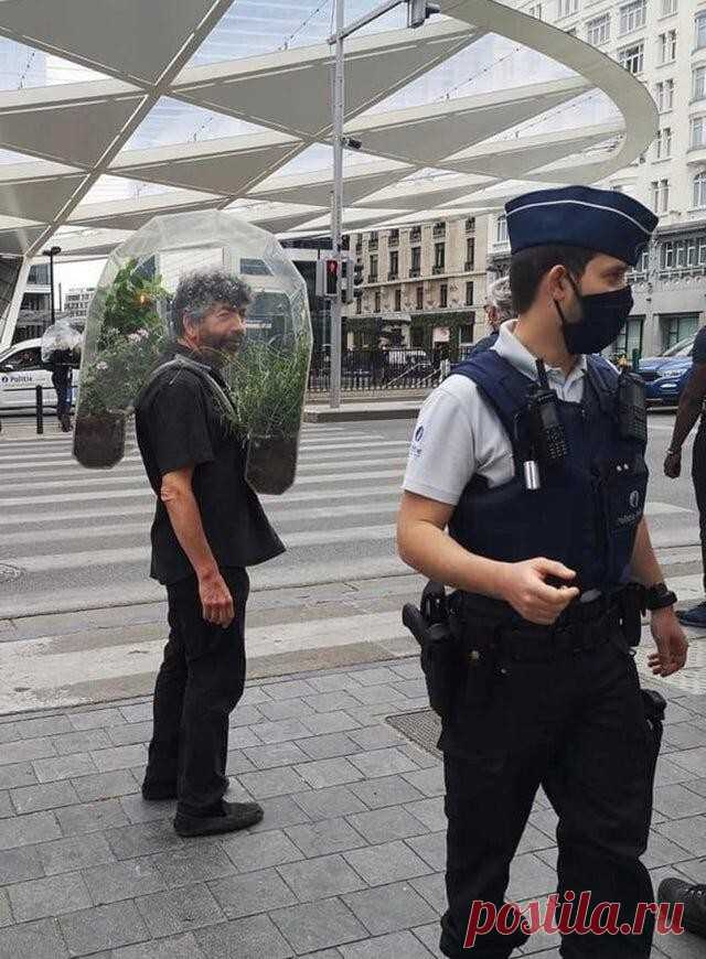 15 фотографий, которые под завязку наполнены вздором и нелепостью