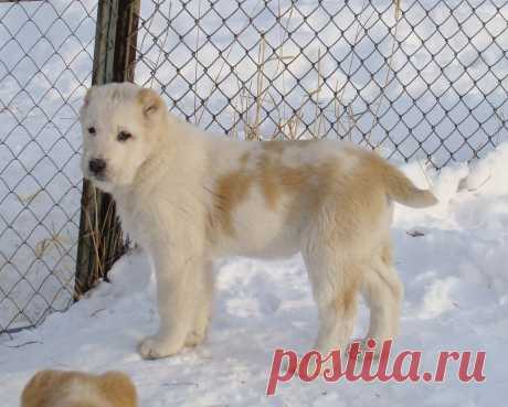 Инга Байбурина - Россия на Мой Мир@Mail.ru