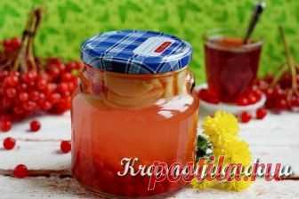 Компот из калины и яблок на зиму | woman56.ru | Яндекс Дзен