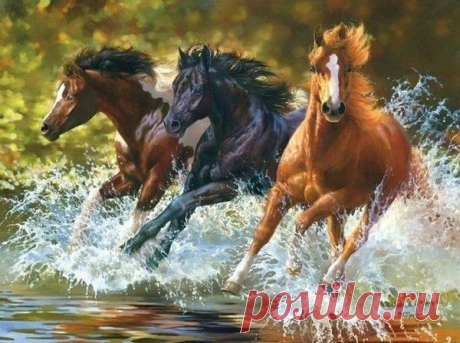 Мой Мир@Mail.Ru