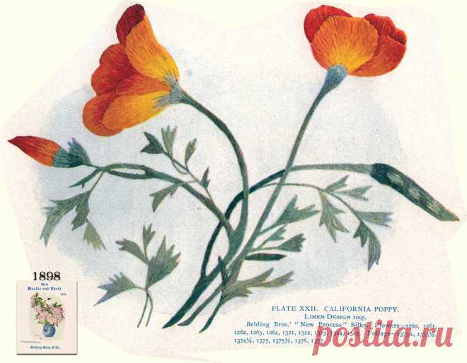 Belding Brothers XXII 1898