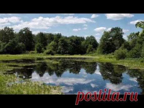 За тихой рекой - группа  "Калина folk"