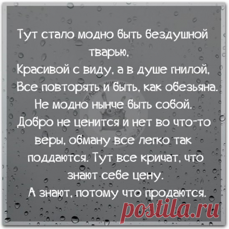 Original: https://i.mycdn.me/i?r=AyH4iRPQ2q0otWIFepML2LxRMoDm5I..