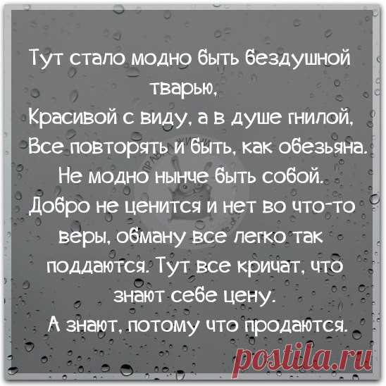 Original: https://i.mycdn.me/i?r=AyH4iRPQ2q0otWIFepML2LxRMoDm5I..