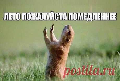 ))