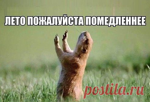 ))
