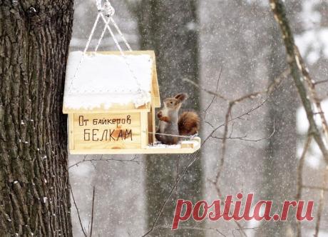 белкин домик:)