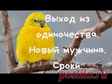 Выход из одиночества. Новый мужчина. Сроки.