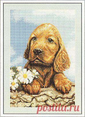Схема вышивки "Ожидающая собачка"