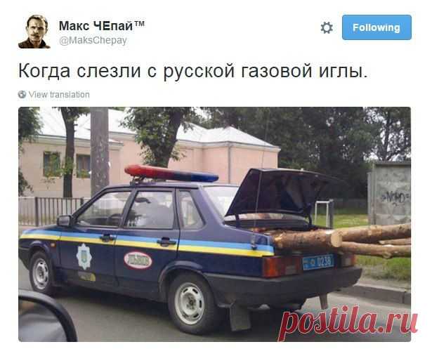 Картина маслом-20, юбилейная. Обзор за неделю | Блог Алексей Смирнов | КОНТ