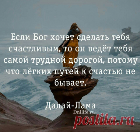 (10) Дни. Жизнь. Суть - Хроника