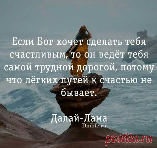(10) Дни. Жизнь. Суть - Хроника
