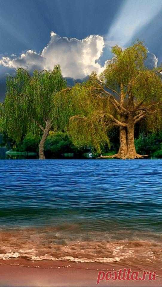 (2435) Pinterest