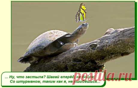ХОРОШЕГО ВАМ НАСТРОЕНИЯ