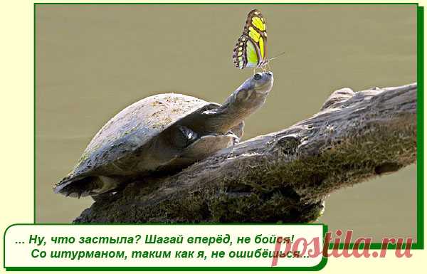ХОРОШЕГО ВАМ НАСТРОЕНИЯ