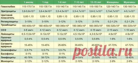 график измерения сахара в крови в течение дня с нормами: 10 тыс изображений найдено в Яндекс.Картинках