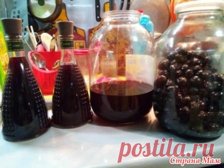 Сливянка из тёрна - Страна Мам