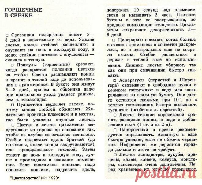 Горшечные в срезке