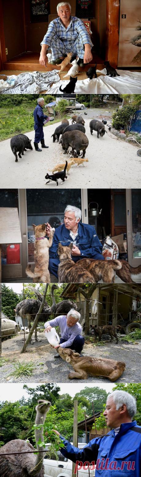 Японец вернулся в зараженную зону Фукусимы, чтобы кормить брошенных там животных • НОВОСТИ В ФОТОГРАФИЯХ
