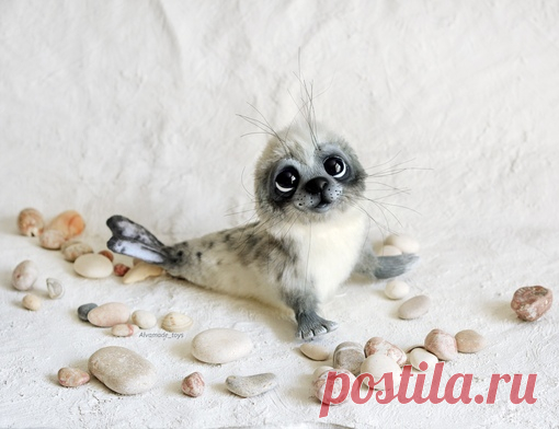 ◈ Тюлененок ◈